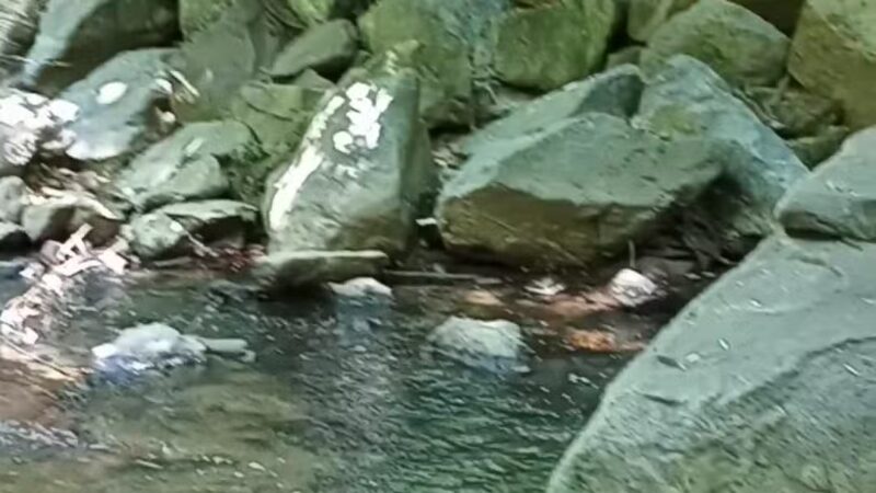 Houston-Sligo Creek Park - Silver Spring, MD