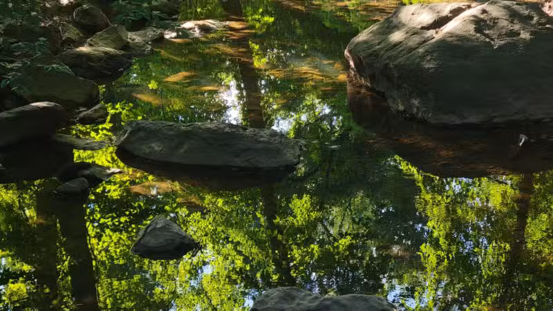 Houston-Sligo Creek Park - Silver Spring, MD