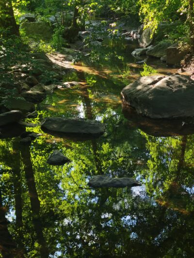 Houston-Sligo Creek Park - Silver Spring, MD