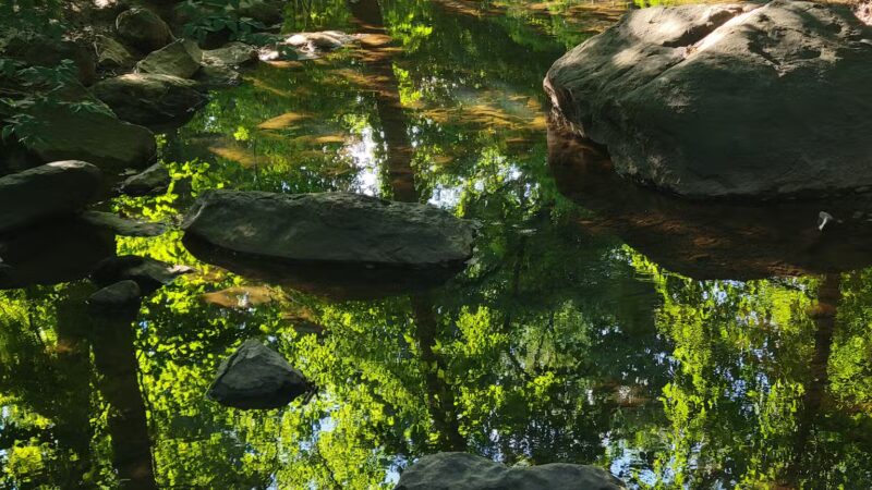Houston-Sligo Creek Park - Silver Spring, MD