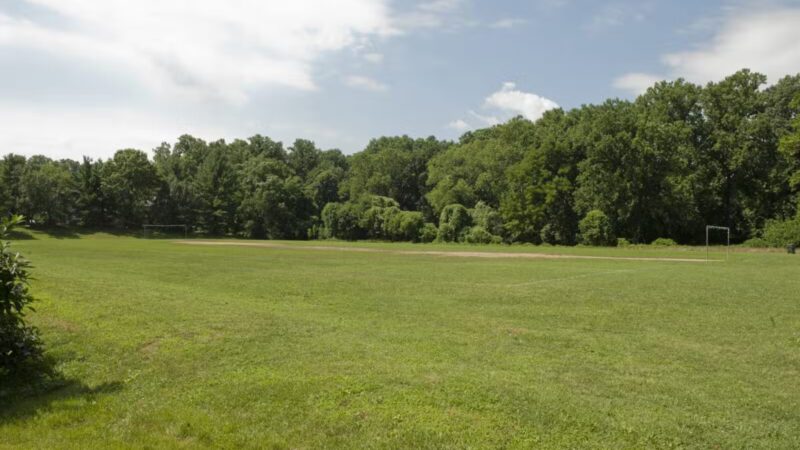 Long Branch-Wayne Local Park - Silver Spring, MD