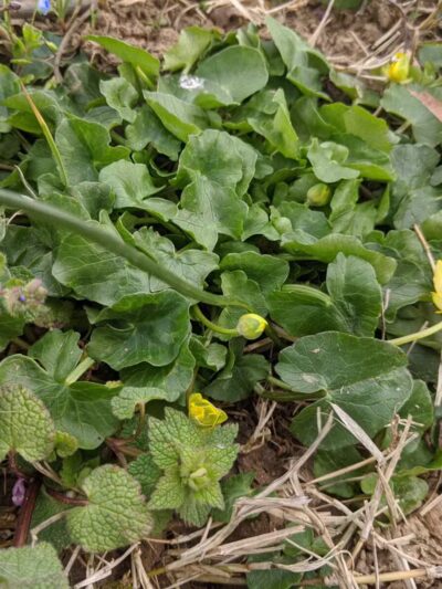 Long Branch-Wayne Local Park - Silver Spring, MD