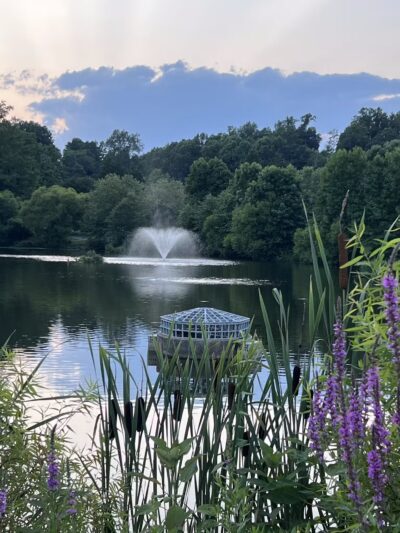 Martin Luther King Jr. Recreational Park - Silver Spring, MD