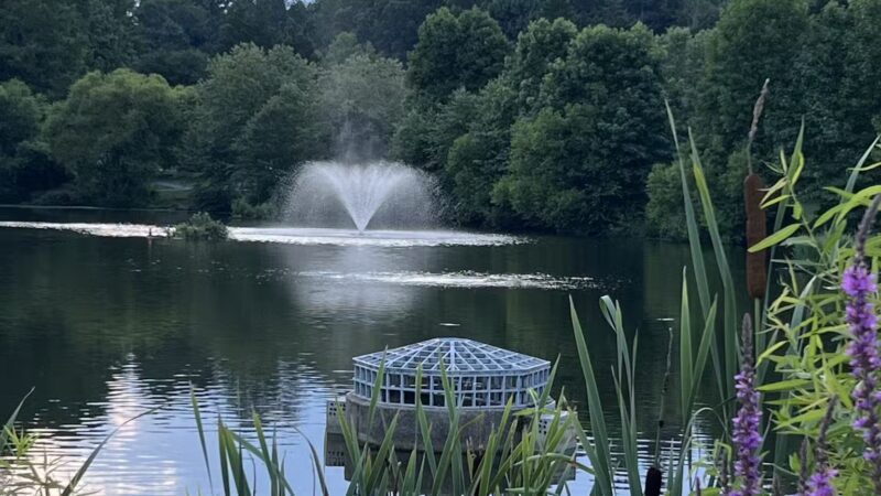 Martin Luther King Jr. Recreational Park - Silver Spring, MD