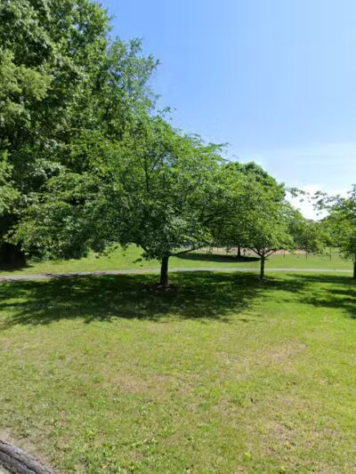 Martin Luther King Jr. Recreational Park Field 2 - Silver Spring, MD
