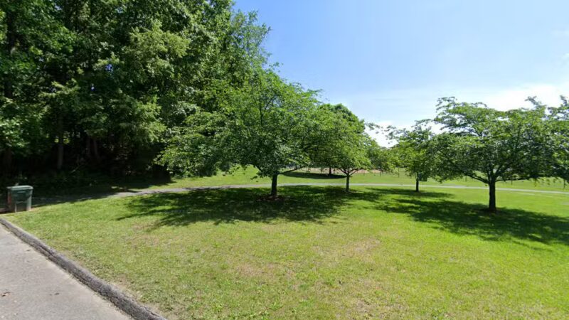 Martin Luther King Jr. Recreational Park Field 2 - Silver Spring, MD