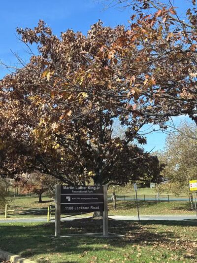 MLK MNCPPC - Silver Spring, MD