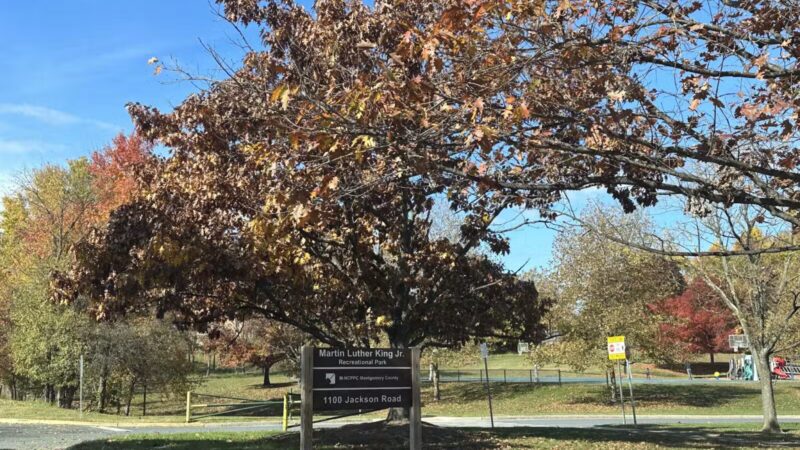 MLK MNCPPC - Silver Spring, MD