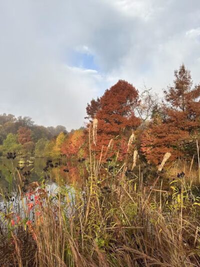MLK MNCPPC - Silver Spring, MD