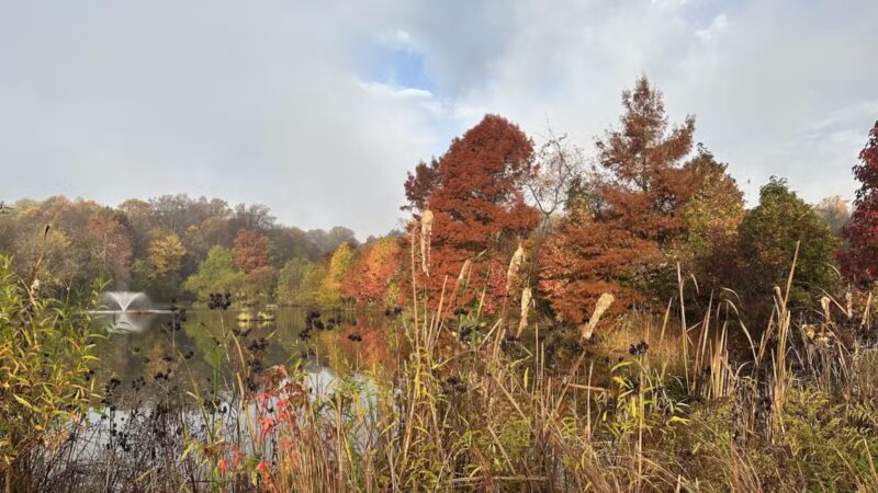 MLK MNCPPC - Silver Spring, MD