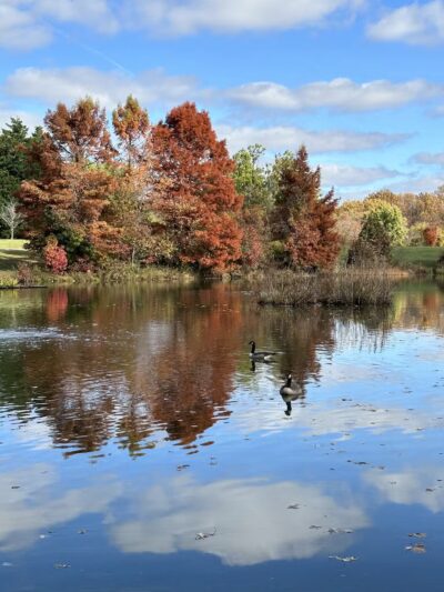 MLK MNCPPC - Silver Spring, MD