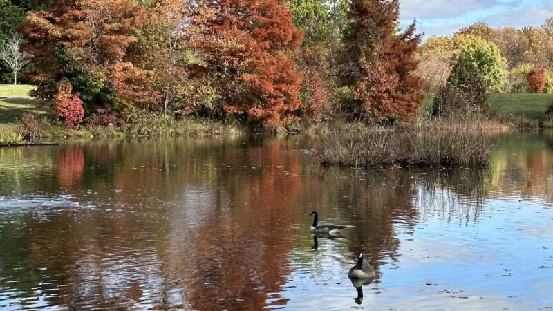 MLK MNCPPC - Silver Spring, MD