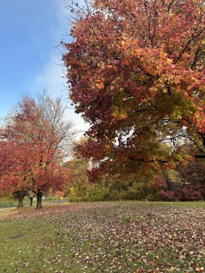MLK MNCPPC - Silver Spring, MD