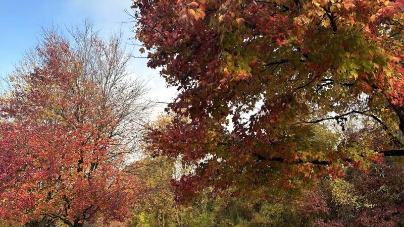 MLK MNCPPC - Silver Spring, MD