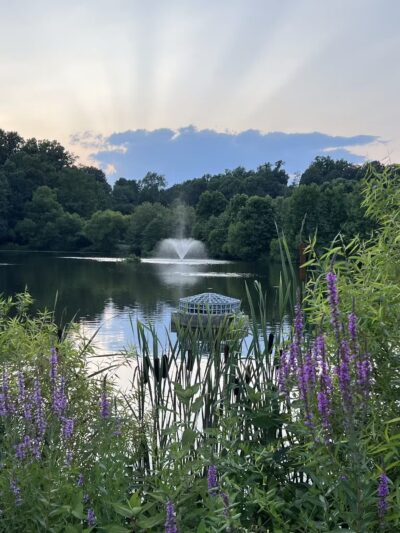MLK MNCPPC - Silver Spring, MD