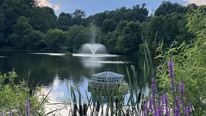 MLK MNCPPC - Silver Spring, MD