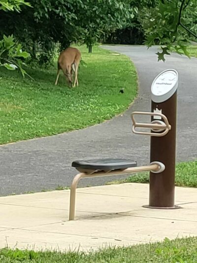 North Four Corners Local Park - Silver Spring, MD
