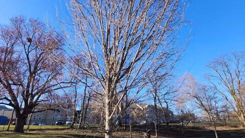 North Four Corners Local Park - Silver Spring, MD