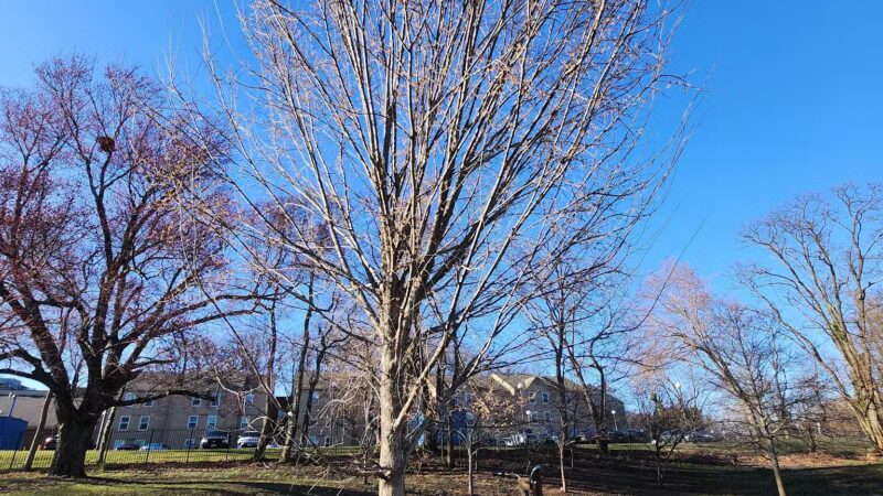 North Four Corners Local Park - Silver Spring, MD