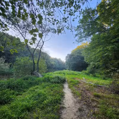 NW Branch Trail - Silver Spring, MD