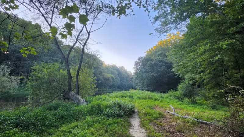 NW Branch Trail - Silver Spring, MD