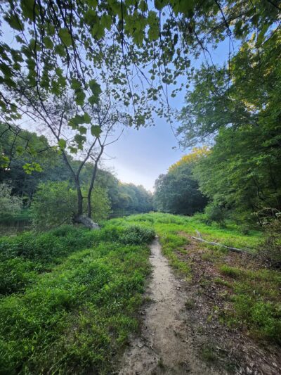 NW Branch Trail - Silver Spring, MD
