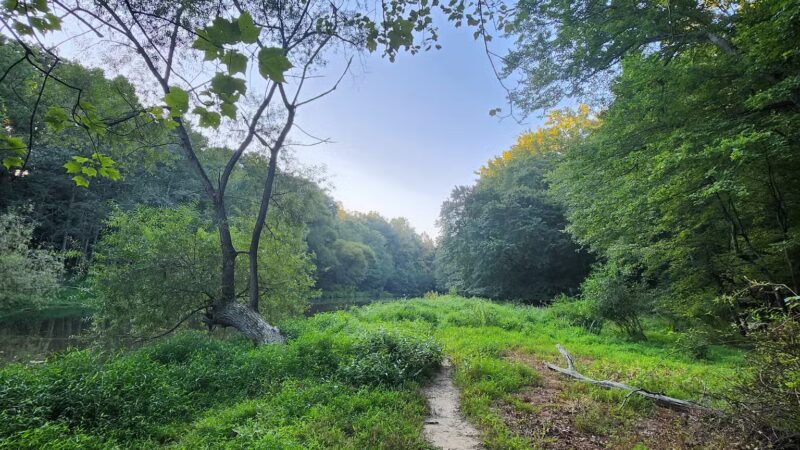 NW Branch Trail - Silver Spring, MD