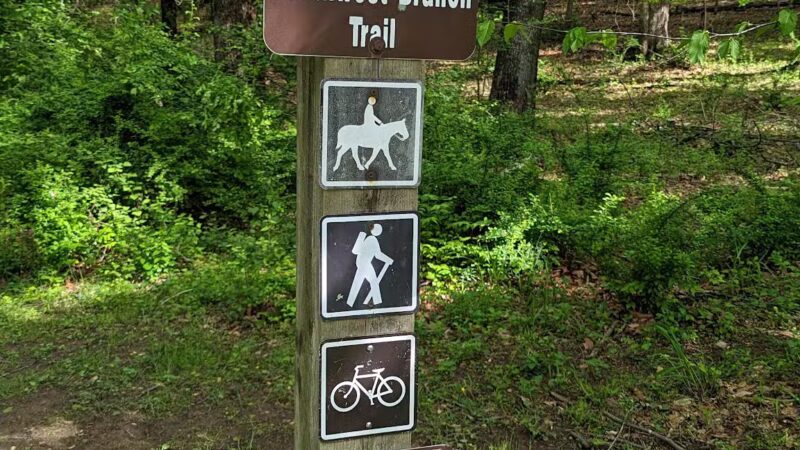 NW Branch Trail - Silver Spring, MD