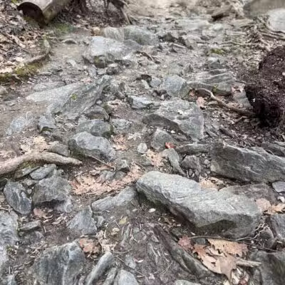 NW Branch Trail - Silver Spring, MD
