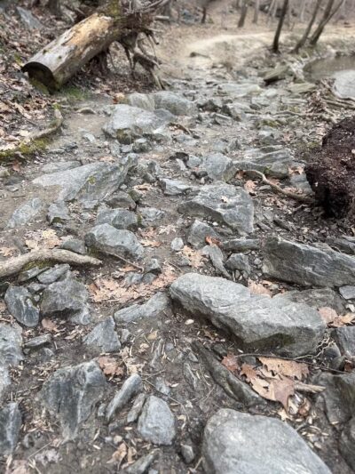 NW Branch Trail - Silver Spring, MD