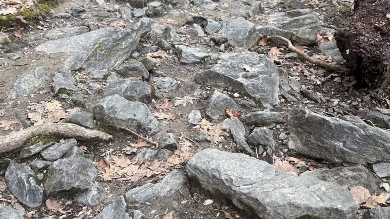 NW Branch Trail - Silver Spring, MD