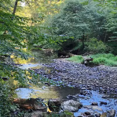 NW Branch Trail - Silver Spring, MD
