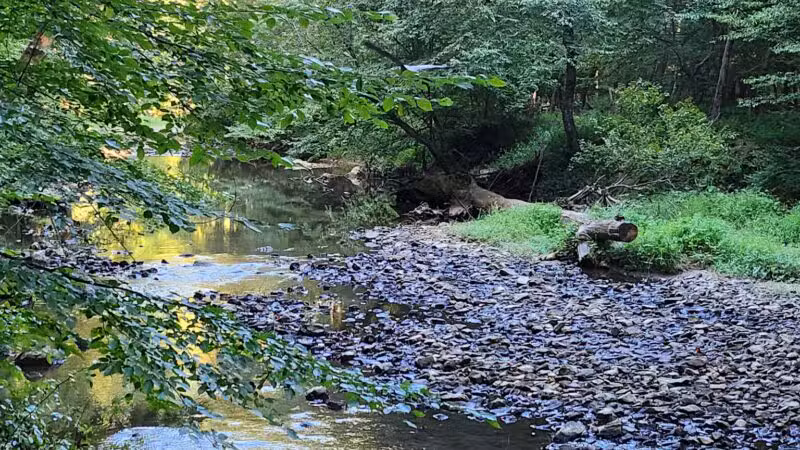 NW Branch Trail - Silver Spring, MD