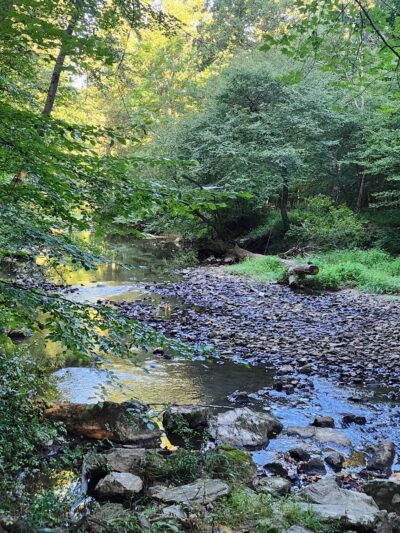 NW Branch Trail - Silver Spring, MD