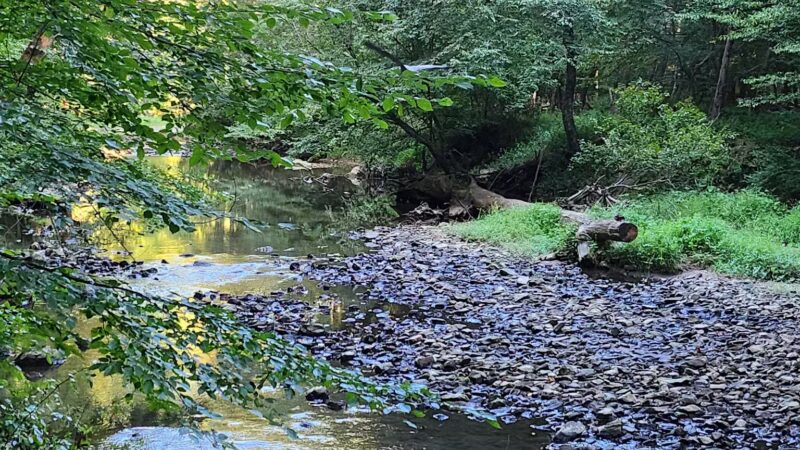 NW Branch Trail - Silver Spring, MD