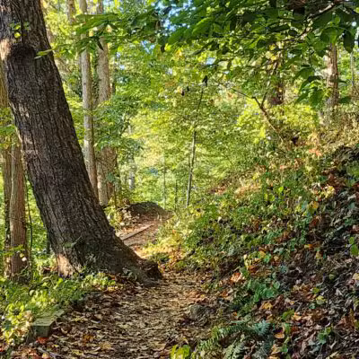 NW Branch Trail - Silver Spring, MD