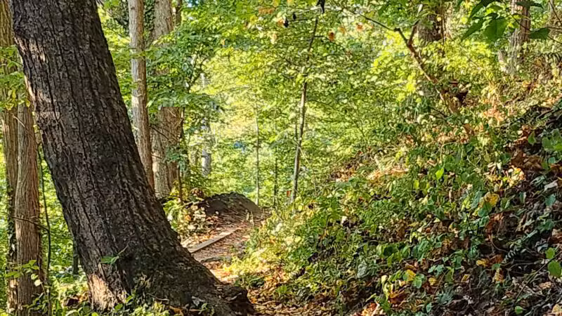 NW Branch Trail - Silver Spring, MD