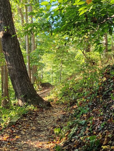 NW Branch Trail - Silver Spring, MD