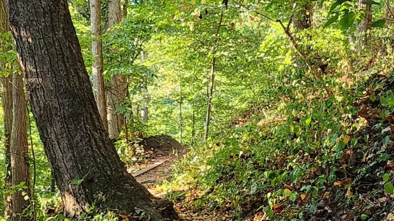 NW Branch Trail - Silver Spring, MD
