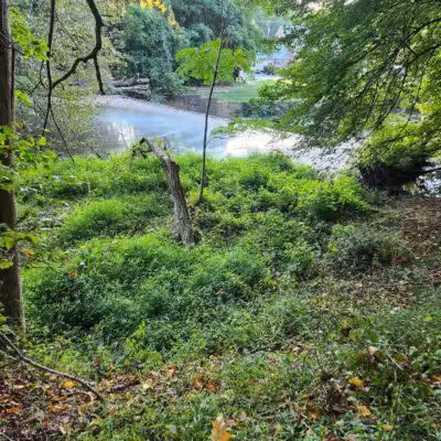 NW Branch Trail - Silver Spring, MD