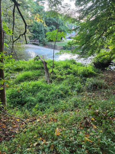 NW Branch Trail - Silver Spring, MD