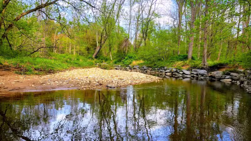 NW Branch Trail - Silver Spring, MD