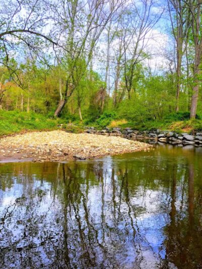 NW Branch Trail - Silver Spring, MD