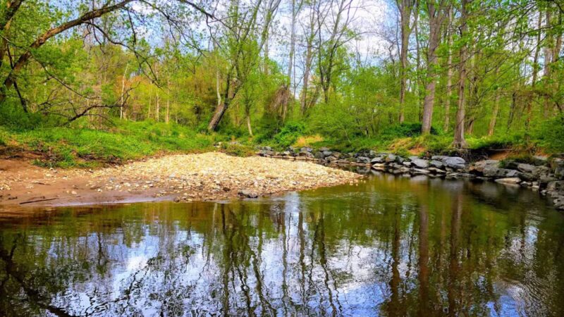 NW Branch Trail - Silver Spring, MD