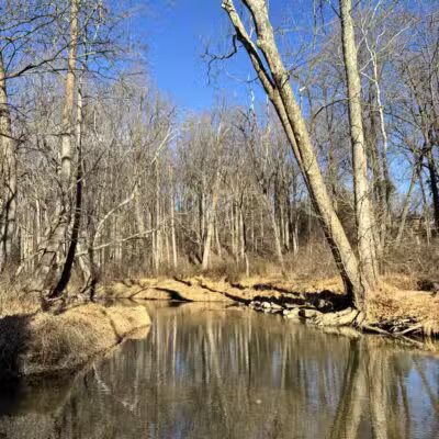 Paint Branch Stream Trail Serpentine Way - Silver Spring, MD
