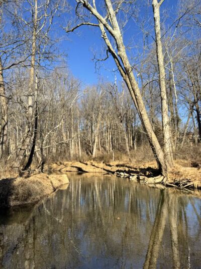 Paint Branch Stream Trail Serpentine Way - Silver Spring, MD