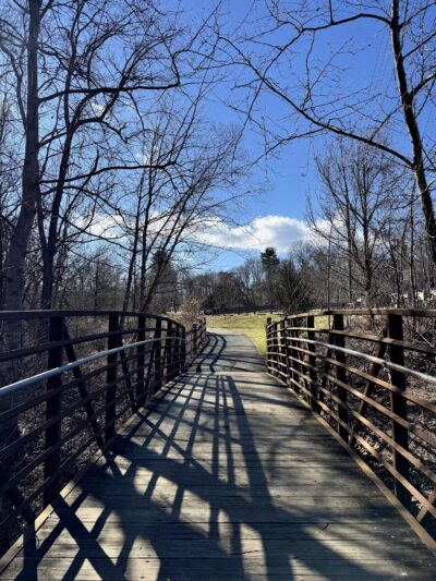 Paint Branch Stream Trail Serpentine Way - Silver Spring, MD