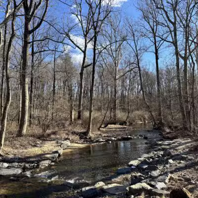 Paint Branch Stream Trail Serpentine Way - Silver Spring, MD
