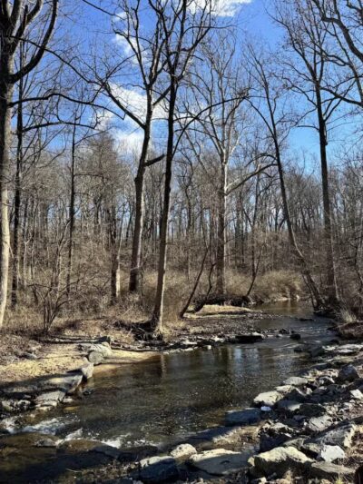 Paint Branch Stream Trail Serpentine Way - Silver Spring, MD