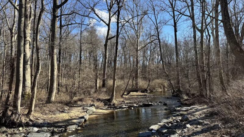 Paint Branch Stream Trail Serpentine Way - Silver Spring, MD